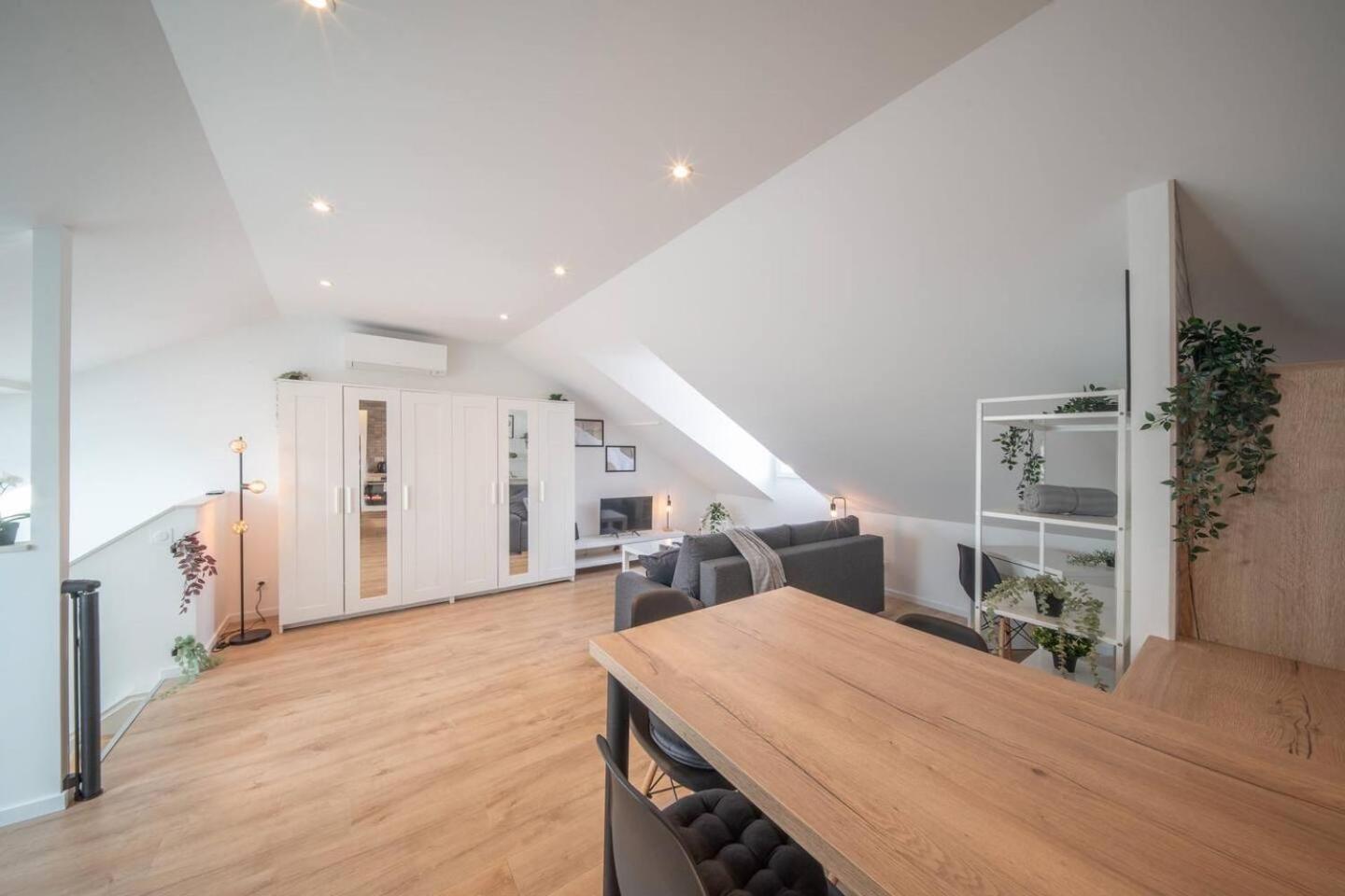 Superbe Appartement Climatise Parking Free Special Eurovision Mulhouse Eksteriør billede